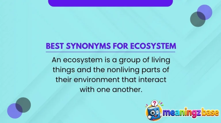Best Synonyms for Ecosystem