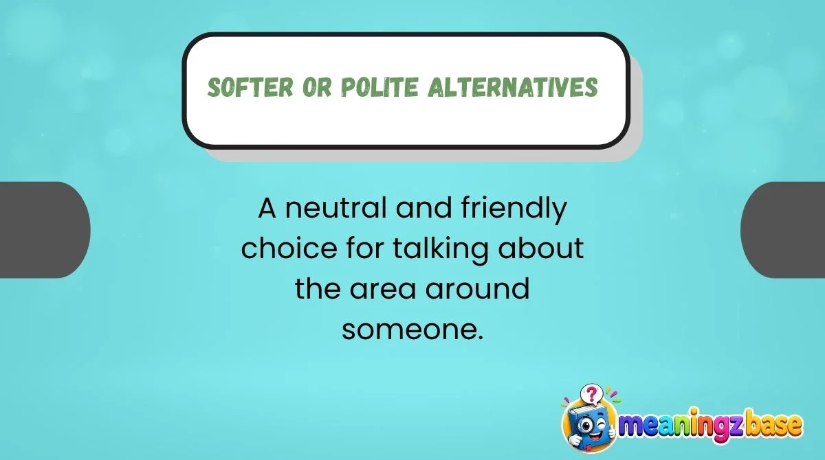 Softer or Polite Alternatives