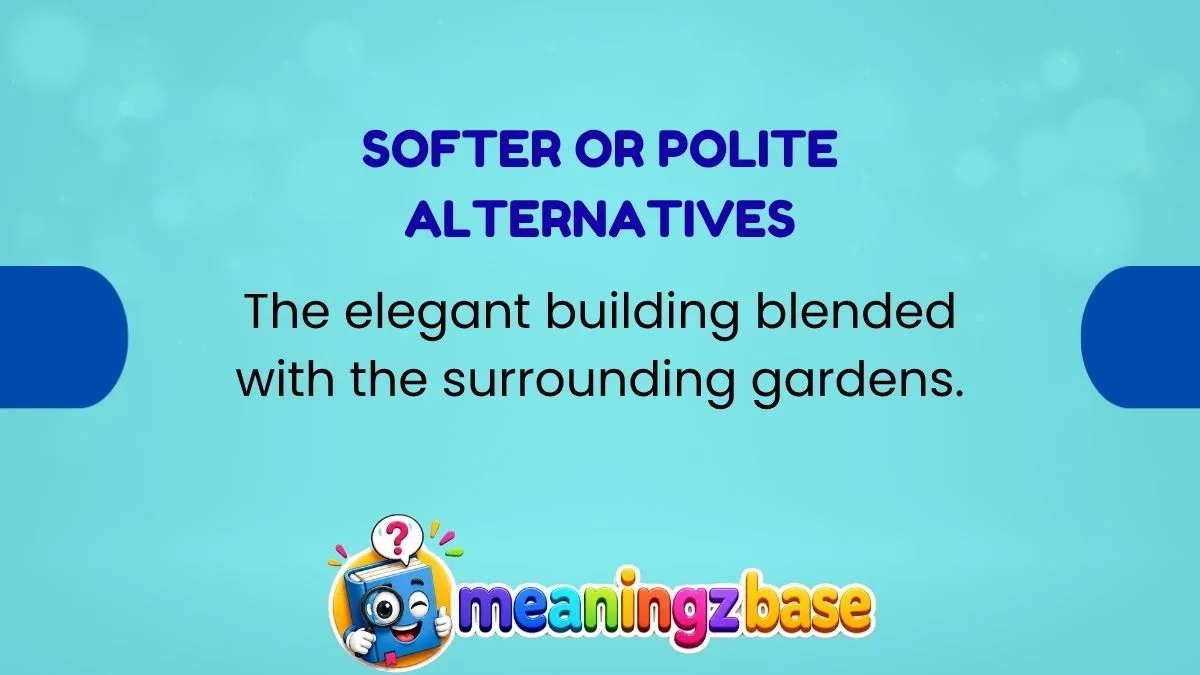 softer-or-polite-alternatives Softer or Polite Alternatives