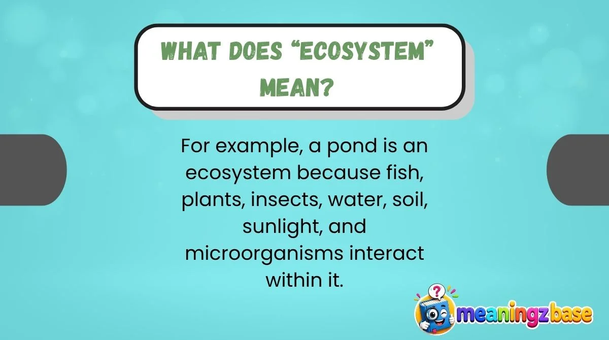 What Does “Ecosystem” Mean?