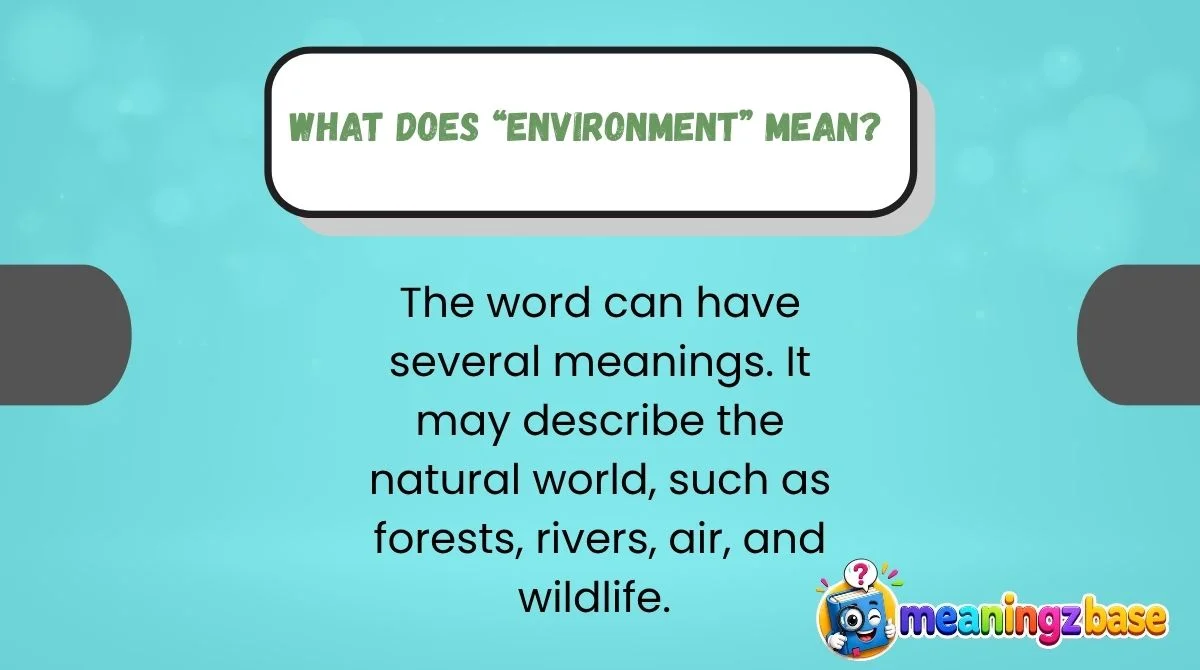 What Does “Environment” Mean?