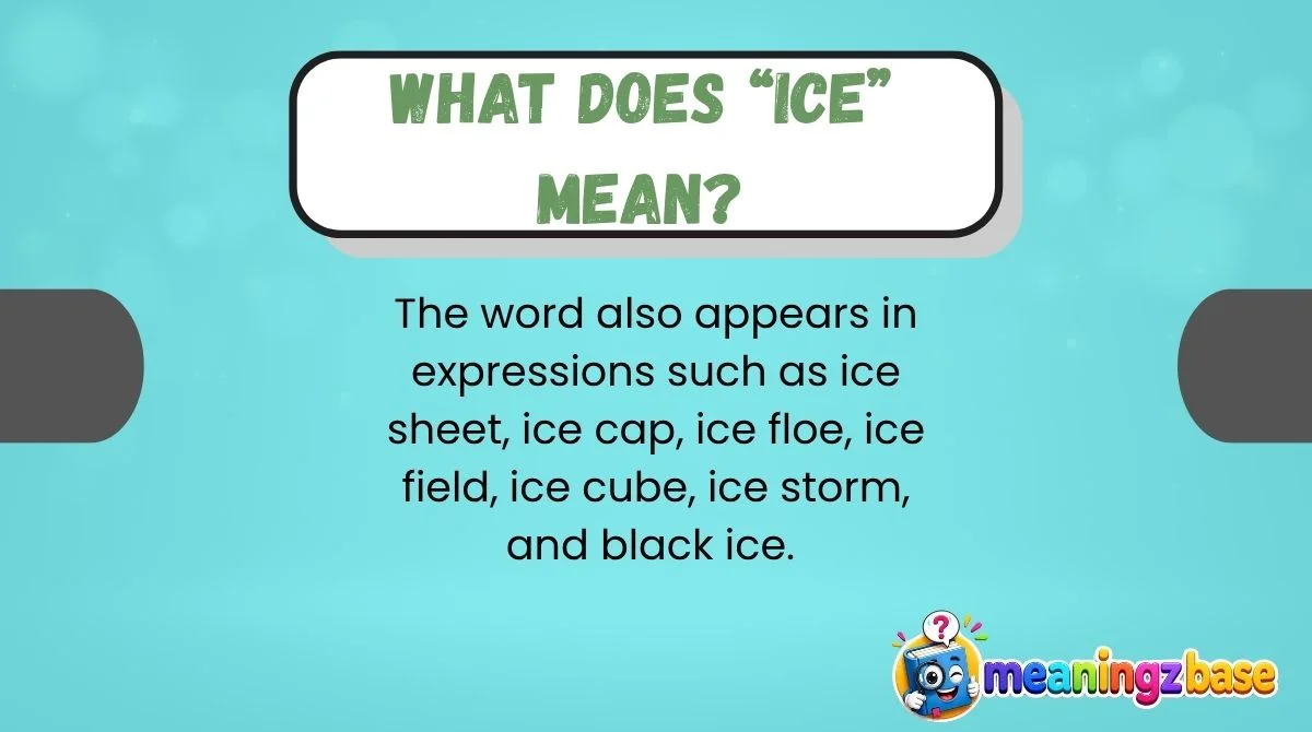 What Does “Ice” Mean?