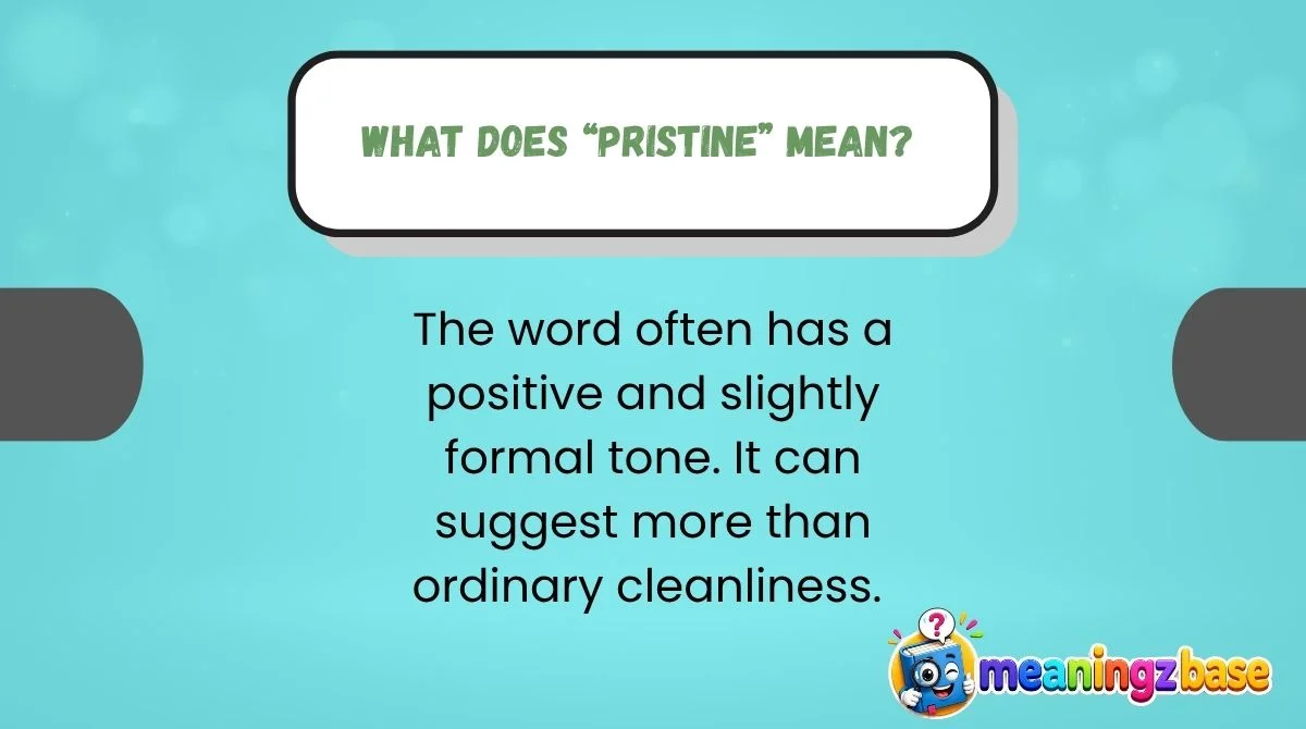 what-does-pristine-mean What Does “Pristine” Mean?