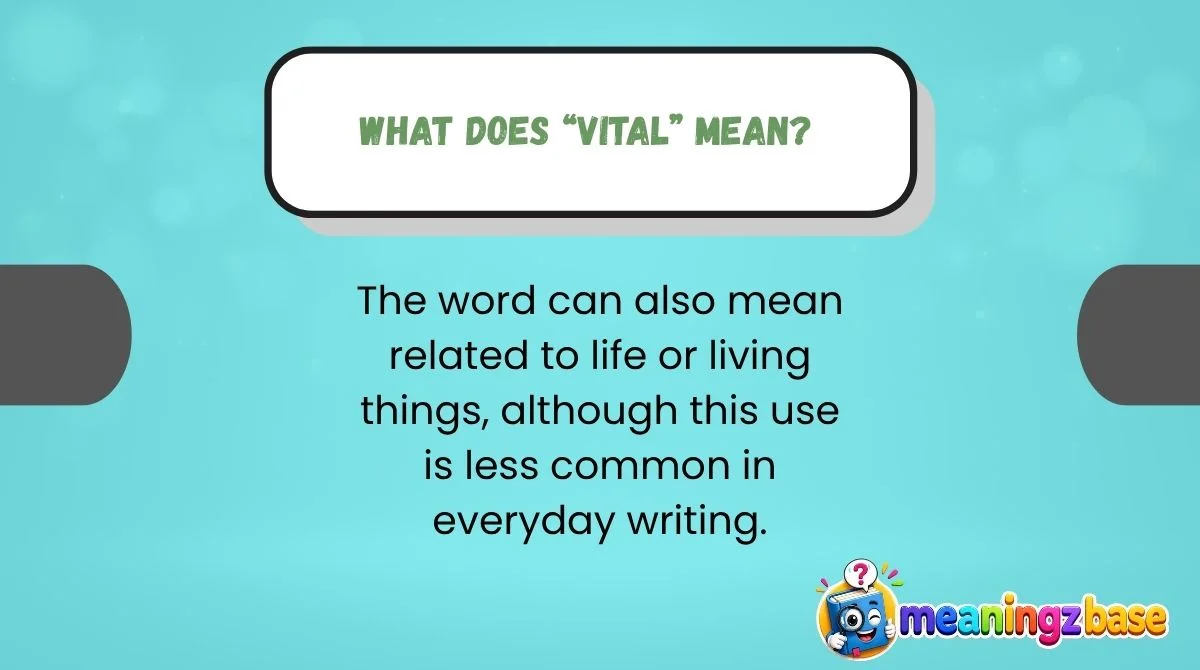 what-does-vital-mean What Does “Vital” Mean?